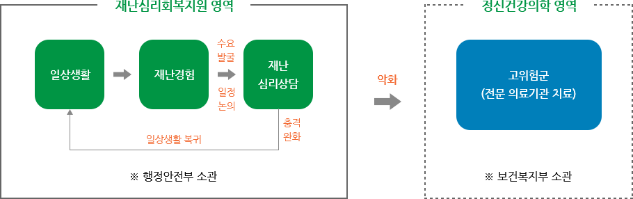 재난심리회복지원 영역, 정신건강의학 영역